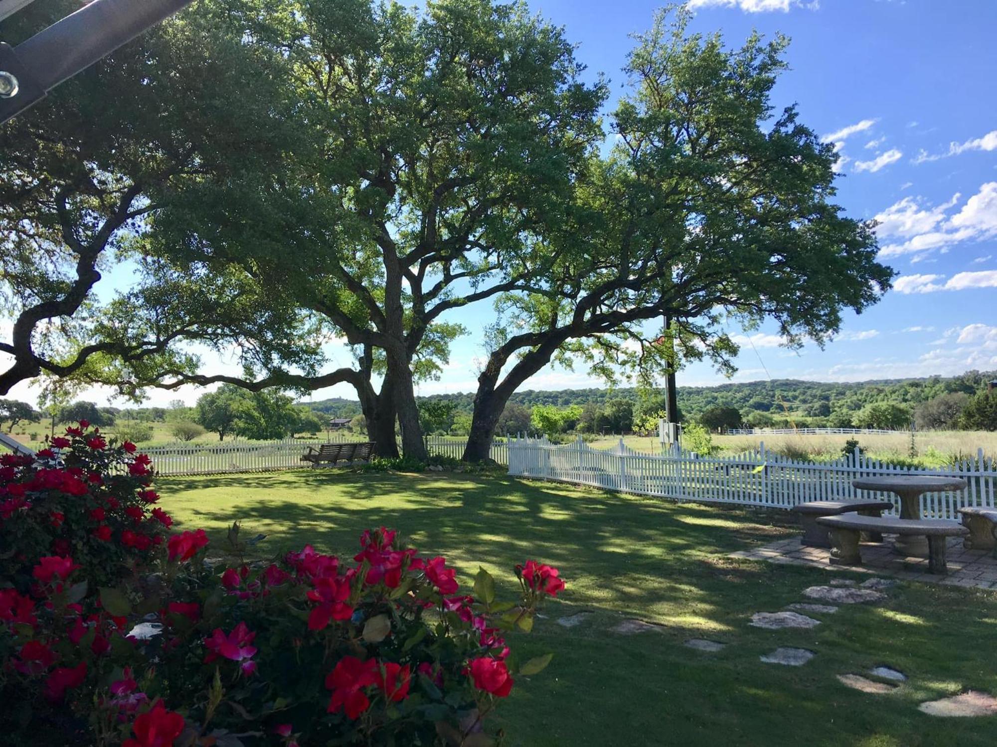 The Alexander At Creek Road Hotell Dripping Springs Exteriör bild